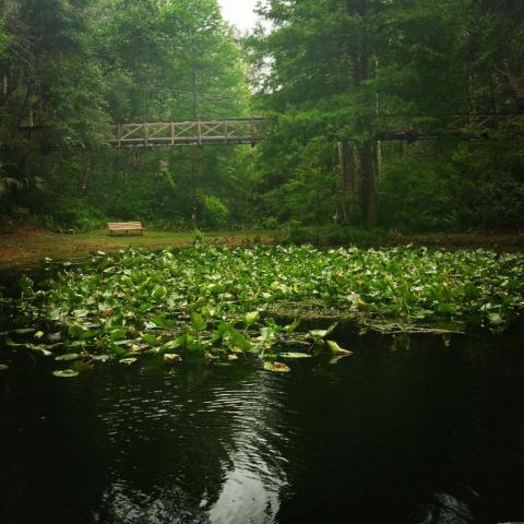 This Historic Park In Florida Turns Into A Fortress Of Fear During Halloween