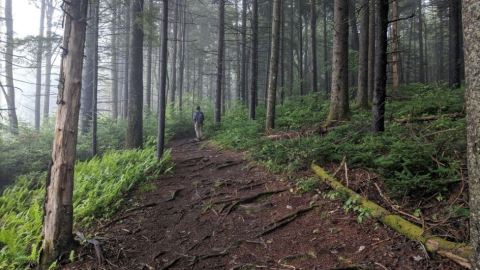 This Easy Fall Hike In Vermont Is Under 2 Miles And You'll Love Every Step You Take