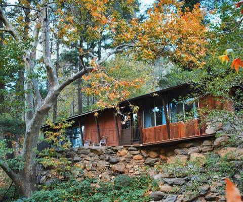 This Treehouse Resort In Arizona May Just Be Your New Favorite Destination