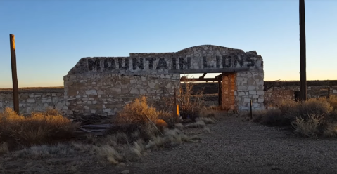 Everyone In Arizona Should See What’s Inside The Gates Of This Abandoned Zoo