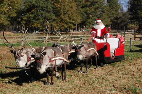 Visit This Fascinating Farm In Georgia That Has The Strangest Collection Of Animals Around