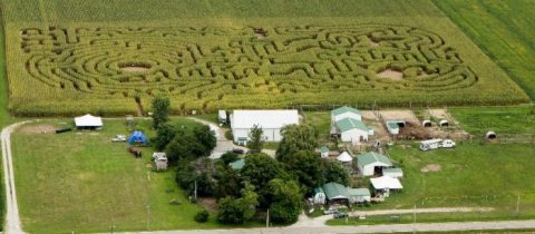 Visit This Fascinating Farm In Ohio That Has The Strangest Collection Of Animals Around