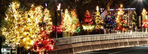 This Christmas Tree Trail In Northern California Is Like Walking In A Winter Wonderland