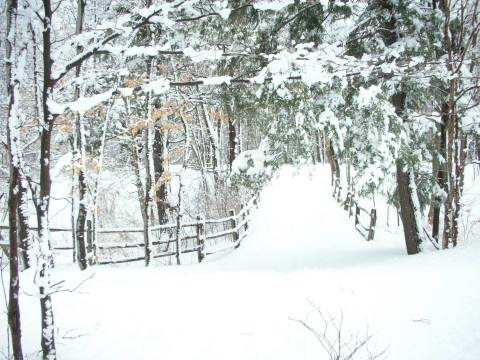 The Easy 1-Mile Winter Hike In Buffalo That's Positively Bewitching