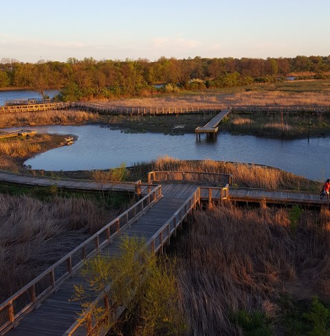 Follow This Abandoned Railroad Trail For One Of The Most Unique Hikes In Delaware