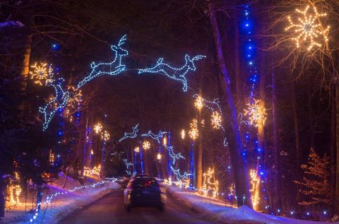 Take A Dreamy Ride Through The Largest Drive-Thru Light Show In Massachusetts, Bright Nights At Forest Park