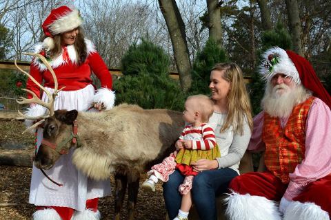 The Reindeer Festival In Kentucky That Will Positively Enchant You This Season