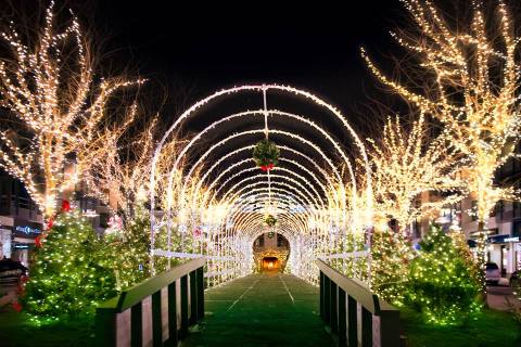 This Christmas Tree Trail Near Cleveland Is Like Walking In A Winter Wonderland