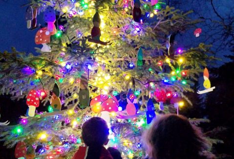 This Christmas Tree Trail In Alaska Is Like Walking In A Winter Wonderland