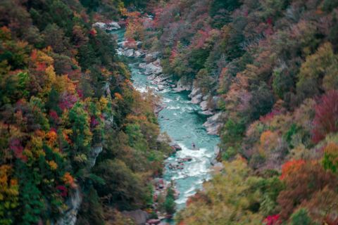 The Exquisite River Hike Every Virginian Should Take At Least Once