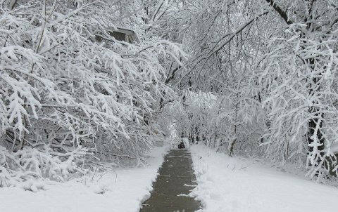 It's Impossible To Forget The Year Maine Saw Its Single Largest Snowfall Ever