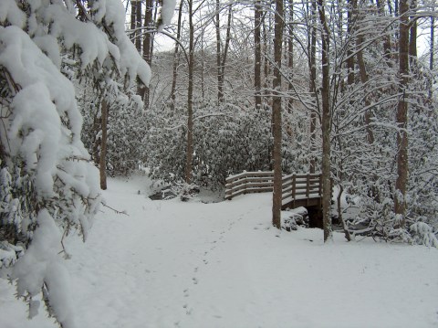 The Virginia State Park That Totally Transforms Into A Dazzling Winter Wonderland