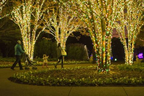 The One Park In Nashville That Will Transform Into A Winter Wonderland This Year