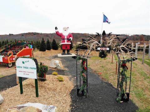 You'll Want To Visit This Gigantic Christmas Farm In Connecticut With 100 Acres Of Trees