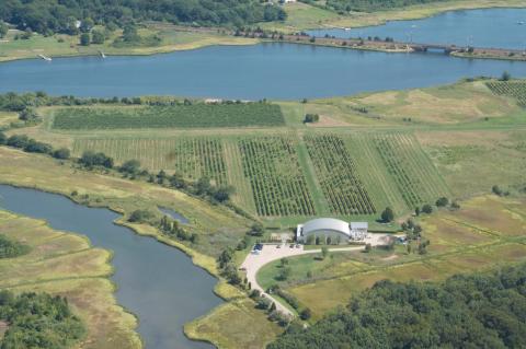 This Waterfront Winery Is The Best Place To Go In Connecticut