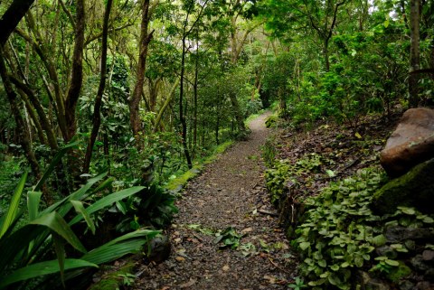 A Hike Through This Lush Hawaiian Valley Is Perfect For The Adventurous Soul