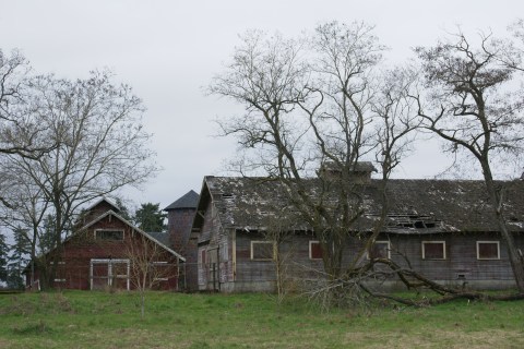 This Is The Oldest Place You Can Possibly Go In Washington And Its History Will Fascinate You