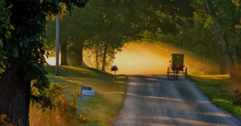 The Tiny Amish Town Near Pittsburgh That's The Perfect Day Trip Destination