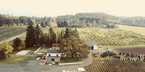 This Christmas Tree Festival In Oregon Will Put You In The Holiday Mood