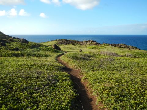 It's Practically A Criminal Offense Not To Check Out This Easy Coastal Hike In Hawaii