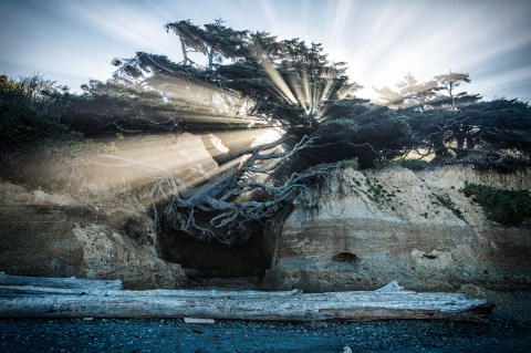 The Little Known Cave In Washington That Everyone Should Explore At Least Once