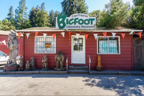 Most Northern Californians Have Never Heard Of This Fascinating Bigfoot Museum