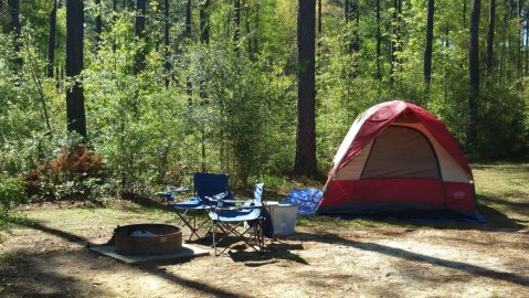 9 Stunning Louisiana State Parks Where You Can Camp All Year-Round