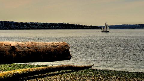 Few People Know There’s A Washington Island You Can Walk To