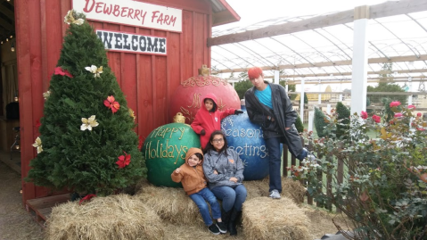 This Christmas Farm In Texas Is An Annual Must-Do