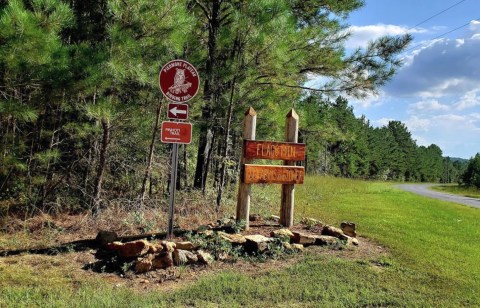 This Alabama Mountain Is A Hiking Destination That Belongs On Everyone's Winter Bucket List