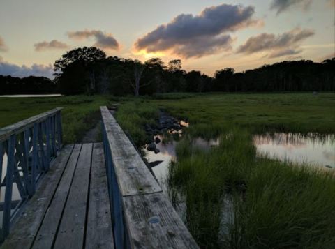 This Easy Fall Hike In Rhode Island Is Under 2 Miles And You'll Love Every Step You Take