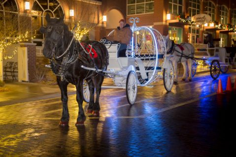 Take A Horse Drawn Carriage Ride In Oklahoma For A Night Of Pure Wonder