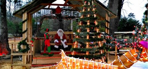 A Trip To This Christmas Farm In North Carolina Will Make Your Season Complete