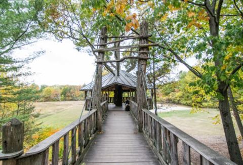 This Treehouse Park In Vermont Brings Out The Child In Everyone