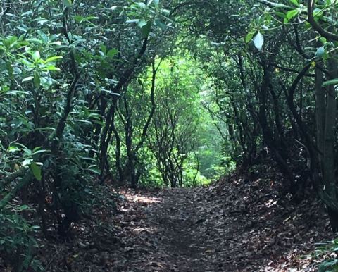 This Winding Rhode Island Trail Leads To A Long-Forgotten Cemetery