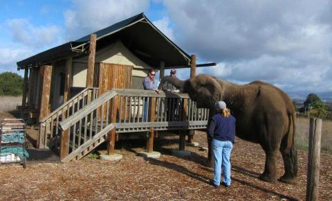 This Safari B&B In The U.S. Should Go Straight To The Top Of Your Bucket List