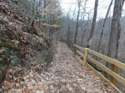 This Hidden Trail In Virginia Leads To A Magnificent Archaeological Treasure