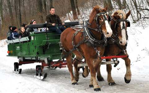 Enjoy A 30-Minute Sleigh Ride Through A Winter Wonderland At Seven Springs Mountain Resort In Pennsylvania