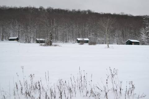 The Enchanting State Park In New York That's Perfect For Winter Camping