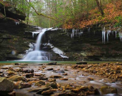 The One Hiking Spot In Kentucky Where It's Green All Year Long