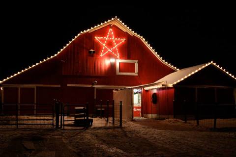 This Christmas Nativity Petting Zoo In Michigan Will Make Your Season Complete