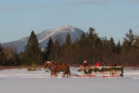 Enjoy A 30-Minute Sleigh Ride Through A Winter Wonderland In Lake Placid In New York