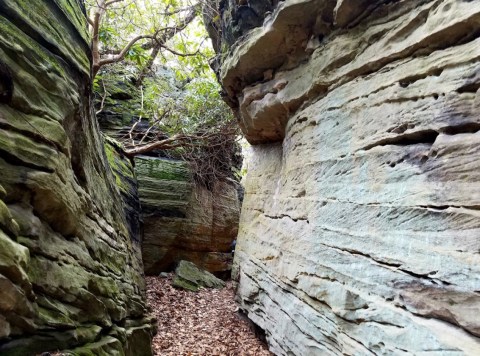 Hike Through West Virginia's Rock Maze For An Adventure Like No Other