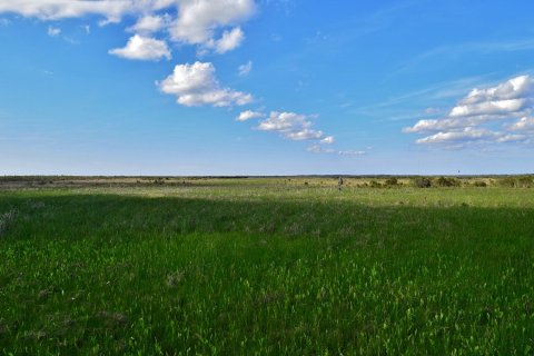 Overlook Miles Of Marsh From This Beautiful Hiking Trail Near New Orleans