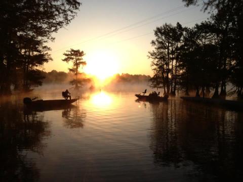 This Fairy Tale Campground In Louisiana Is Like Something From A Dream