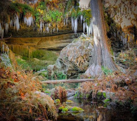 Take A Canyon Tour Through The Most Breathtaking Nature Preserve Near Austin