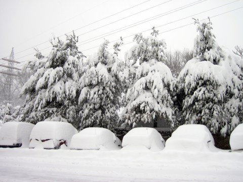 The 14 True Phases Of Surviving A Pennsylvania Winter