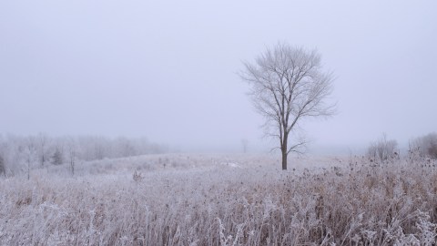 In 1875, Minnesota Plunged Into An Arctic Freeze That Makes This Year's Winter Look Downright Mild