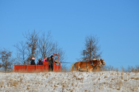 Enjoy A 90-Minute Sleigh Ride Through A Winter Wonderland At Twin Lakes In Wisconsin