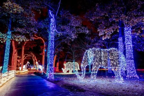 This Detroit Zoo Has One Of The Most Spectacular Christmas Light Displays You’ve Ever Seen